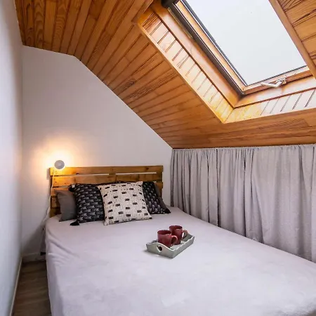 Appartement Magnifique Duplex Proche Centre Et Telepherique Avec Parking - Fr-1-296-359 Saint-Lary-Soulan