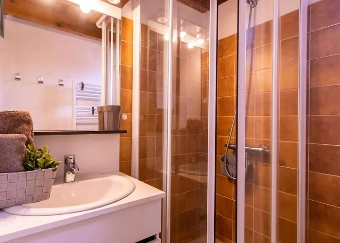 Duplex Proche Centre Et Téléphérique Avec Parking Et Casier à Skis - Fr-1-296-359 Appartement Saint-Lary-Soulan